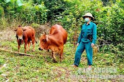 Dự án nhân rộng mô hình giảm nghèo ở Tràng Định: Tạo động lực để người dân vươn lênTin khácThể lệ tổ chức Cuộc thi trắc nghiệm 'Tìm hiểu về tư tưởng, đạo đức, phong cách Hồ Chí Minh' năm 2022Chú trọng giáo dục đạo đức, lối sống cho học sinh