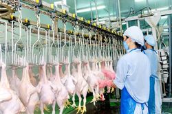 Việt Nam luôn nằm trong top 10 đối tác thương mại lớn nhất của Hồng Kông