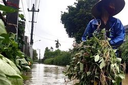 Mưa lũ trái mùa gây thiệt hại cho Thừa Thiên - Huế gần 1.000 tỷ đồng