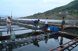 Điểm tựa giúp người nghèo vươn lên