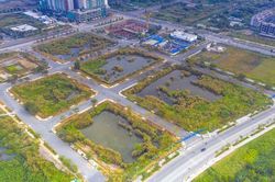 Cần có biện pháp mạnh hơn nữa để dẹp nạn lũng đoạn đấu giá đất