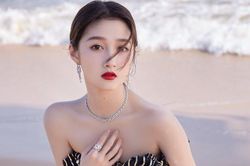 Quan Hiểu Đồng bị kiện