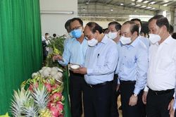 Chủ tịch nước: Không có sự quan tâm của Đảng, Nhà nước thì HTX khó phát triển