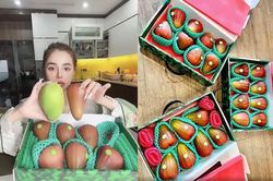 'Sốc' trước 7 quả roi Đài Loan giá 'bạc triệu', nghe review hương vị còn 'ngỡ ngàng' hơn