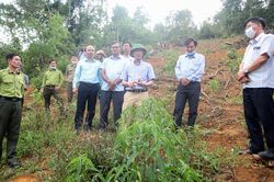 Chủ tịch UBND tỉnh Lâm Đồng Trần Văn Hiệp làm việc với huyện Di Linh về công tác quản lý bảo vệ rừng