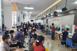 'Cò đất' làm loạn ở Đà Nẵng