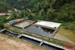 Dừng sản xuất Nhà máy giấy gây ô nhiễm môi trường tại Hòa Bình