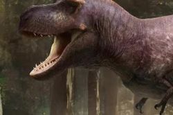 Lý do rùng rợn khiến 'tay' của bạo chúa T-rex hầu như biến mất