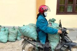Loại củ giúp người Mông xóa nghèo mất giá, bán chẳng ai mua