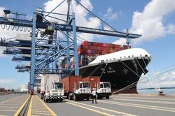 Doanh nghiệp 'cầu cứu' Chủ tịch Quốc hội về phí hạ tầng cảng biển