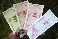 Zimbabwe tăng lãi suất cơ bản lên 80%