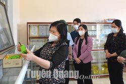 Bắc Kạn sẽ tham khảo các mô hình sản xuất nông nghiệp hàng hóa và du lịch cộng đồng của Tuyên Quang để phát triển