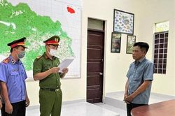 Nhận hối lộ, làm ngơ cho 'lâm tặc' phá rừng, 2 cán bộ kiểm lâm lĩnh án