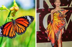 Những bộ cánh thảm đỏ lộng lẫy lấy cảm hứng từ... động vật