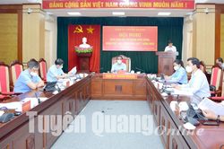 Nắm chắc tình hình, chủ động tham mưu để Tỉnh ủy lãnh đạo thực hiện hiệu quả các nhiệm vụ