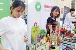 Kinh tế Nông nghiệp - Nông thôn Giúp nông sản vào thị trường chính ngạch