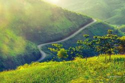 Ngẩn ngơ thiên đường xanh Hà Giang khi mùa hè đến