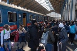 Nga và Ukraine tiếp tục hoạt động sơ tán người dân khỏi nơi nguy hiểmTin khácĐa dạng hình thức tuyên truyền, giáo dục truyền thống lịch sửLinh thiêng nguồn cội đất tổ Hùng Vương