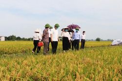Nâng cao giá trị hoạt động liên kết