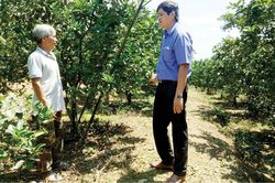 Kinh tế Nông nghiệp - Nông thôn Lộc Bổn khai thác hiệu quả kinh tế vùng gò đồi