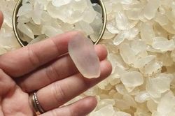 Loại hạt xuất xứ từ miền Tây được ví như 'hạt gạo khổng lồ' khiến chị em Hà thành mê mẩn là hạt gì?