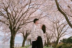Lãng mạn làm nên điều kỳ diệu