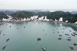 Bừng thức và cất cánh