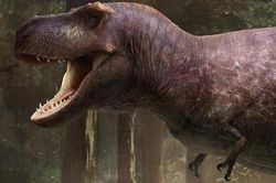 Lý do rùng rợn khiến 'tay' của bạo chúa T-rex hầu như biến mất