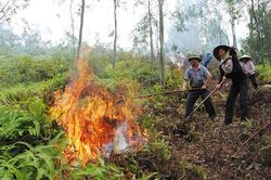 Bắc Giang triển khai các biện pháp cấp bách phòng, chống cháy rừng cấp độ IV