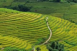 Nậm Cang - Sa Pa, bình yên mà hấp dẫn