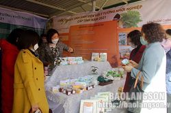 Ngày hội khởi nghiệp cấp tỉnh: Ươm mầm khởi nghiệp cho học sinhTin khácĐa dạng hình thức tuyên truyền, giáo dục truyền thống lịch sửLinh thiêng nguồn cội đất tổ Hùng Vương