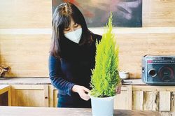 Đời sống Đời sống Cho không gian ngày hè tươi mát
