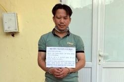 Giấu hơn nửa tạ rắn hổ mang và trăn tại nhà