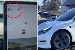 Hệ thống điều khiển xe Tesla bị 'lag' khiến xe cứ chạy 133km/giờ, tài xế muốn tụt huyết áp