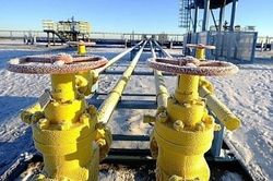 Kêu gọi người dân tiết kiệm năng lượng, Đức nỗ lực tách khỏi khí đốt Nga