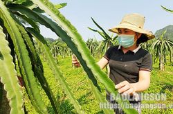 Hội viên nông dân làm giàu từ mô hình kinh tế tổng hợpTin khácĐa dạng hình thức tuyên truyền, giáo dục truyền thống lịch sửLinh thiêng nguồn cội đất tổ Hùng Vương