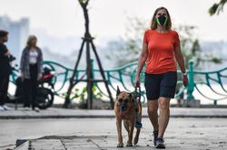 Chó thả rông, không rọ mõm tràn ngập nơi công cộng ở Hà Nội