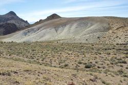 Cơn khát lithium - tường thuật từ Nevada