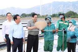 Thủ tướng khảo sát dự án sản xuất muối kết hợp điện gió, điện Mặt Trời