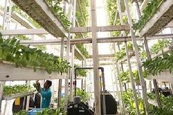 Canh tác theo chiều dọc sẽ phổ biến trong đô thị thông minh
