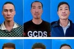 Cặp anh em ruột nghiện hút cầm đầu đường dây trộm cây cảnh trị giá hàng tỷ đồng
