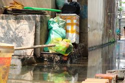 TPHCM: Người dân khốn khổ vì con hẻm 10 năm nước ngập ứ đọng, ruồi muỗi bủa vây