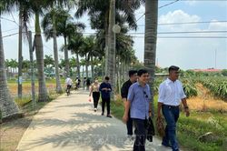 Khai thác tour du lịch đường sông đôi dòng Vàm Cỏ