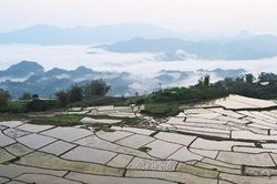 Săn mây, tắm suối trên đất Chiềng Yên