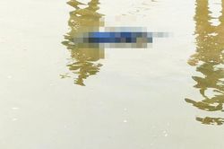 Phát hiện thi thể nam giới nổi trên sông bị trói chân và tay
