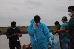 Công an thông tin ban đầu vụ thi thể người đàn ông bị trói tay chân, bịt miệng nổi trên sông Gò Tre