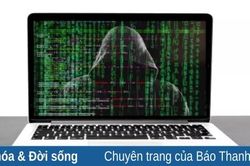 Bản nâng cấp Windows 11 giả mạo chứa đầy phần mềm độc hại