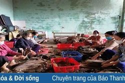 Thơm ngon bánh gai Huy Thu