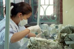 Hiệu quả ứng dụng khoa học trong sản xuất