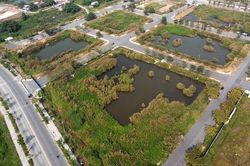Còn nhiều bất cập trong hoạt động đấu giá đất